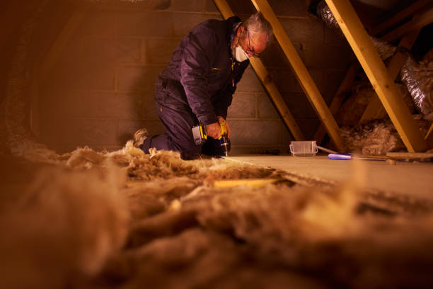 Best Insulation Maintenance and Repair in Villisca, IA