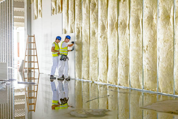 Best Insulation Installation Services in Villisca, IA